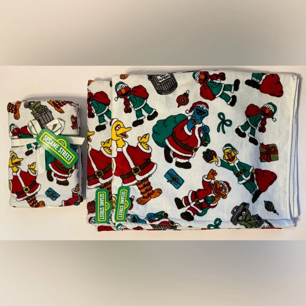 Sesame Street Set of 4 Festive Character Bath & Hand Towels (2Bath, 2Hand) NWT